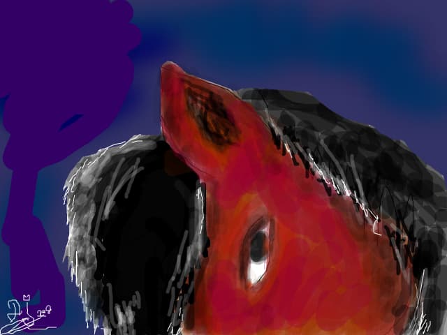 Eye