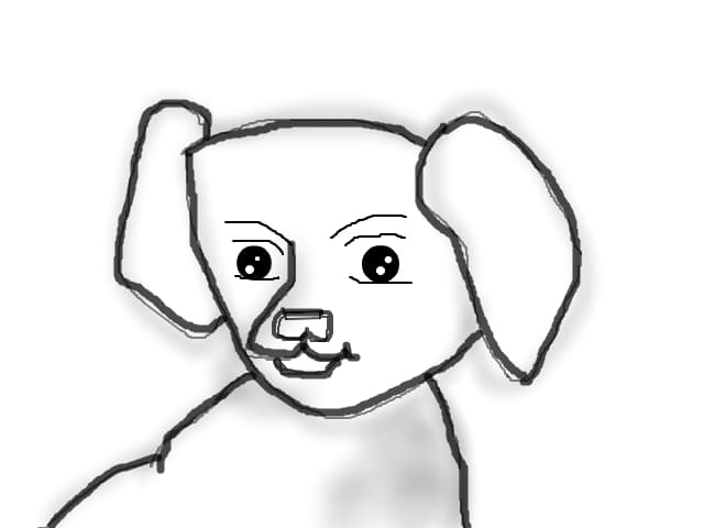 dog