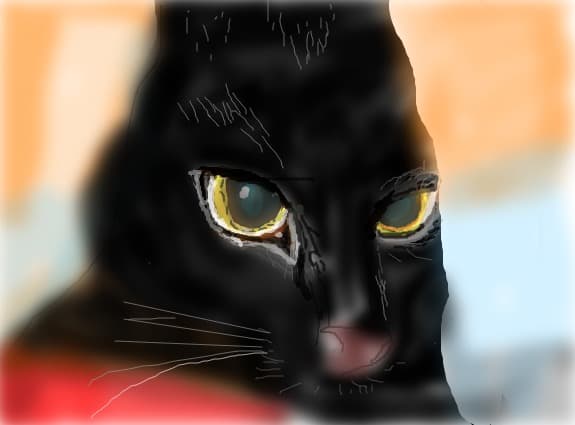 Pisoi