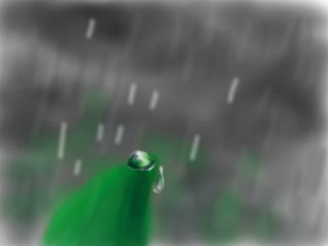 rainy day