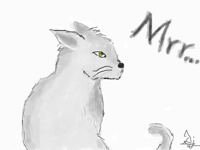 Miauu....