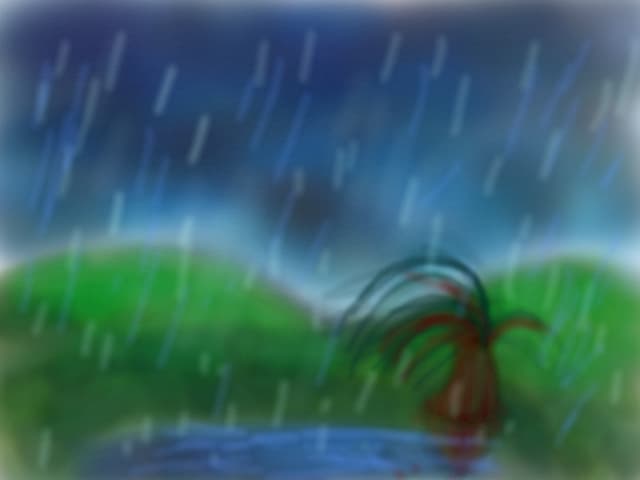 rainy day