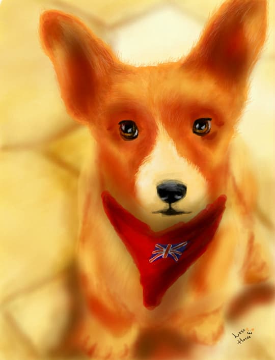 British Puppy :3