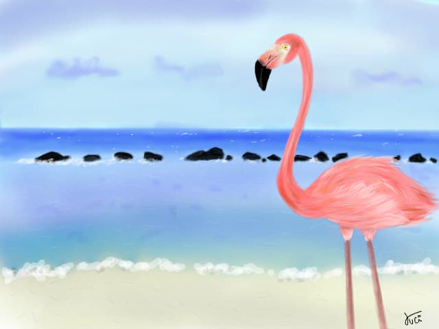 Flamingo. [mare->terminat]
