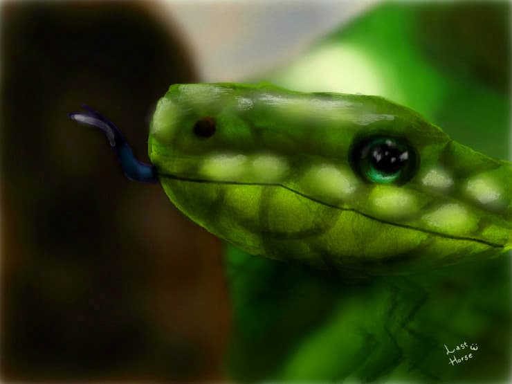 Snake