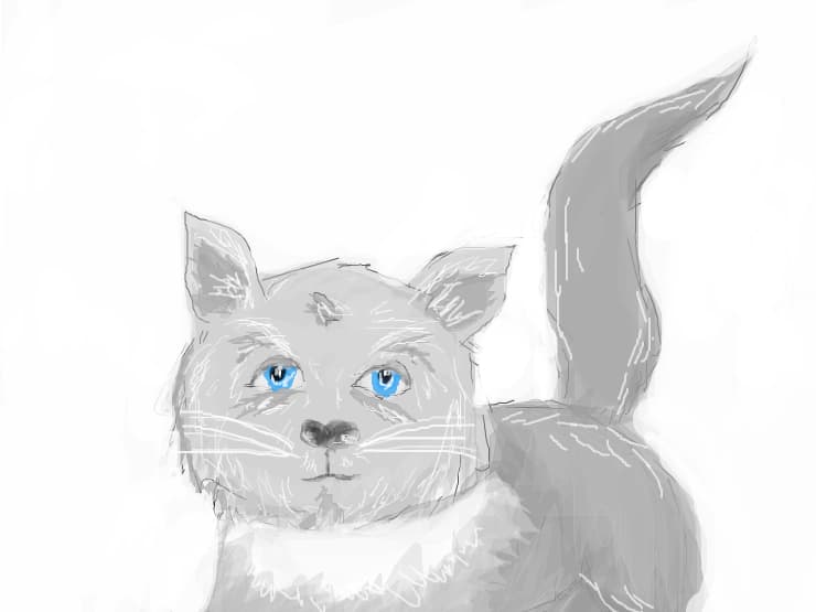 Little Cat...