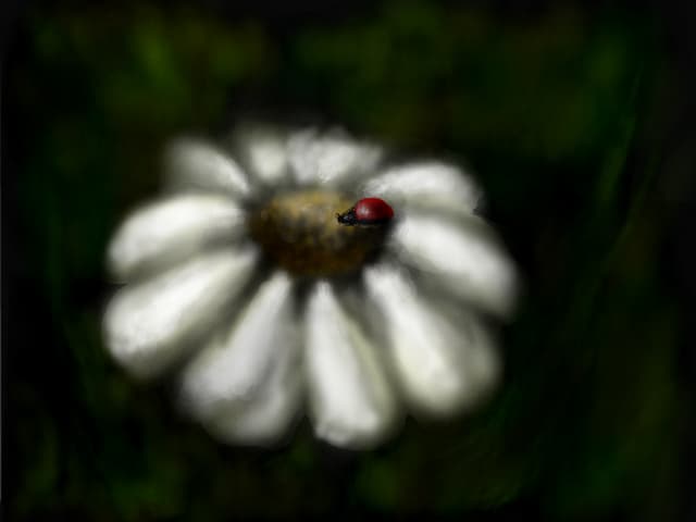 o floare...