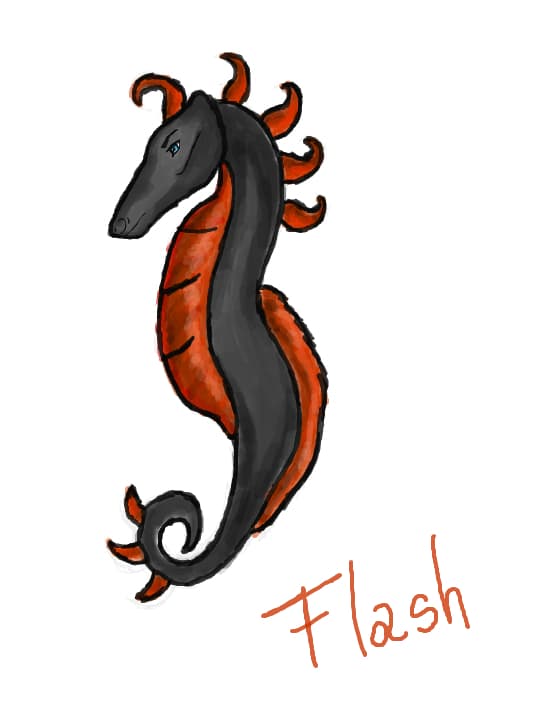Flash