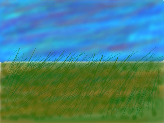 Fenomen