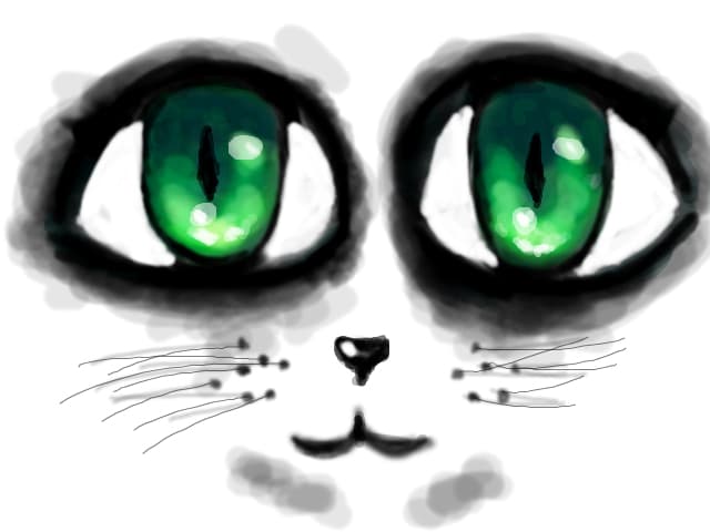 Pisicuta anime