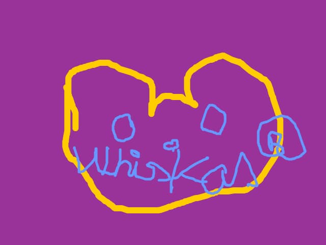 Reclama la  Whiskas