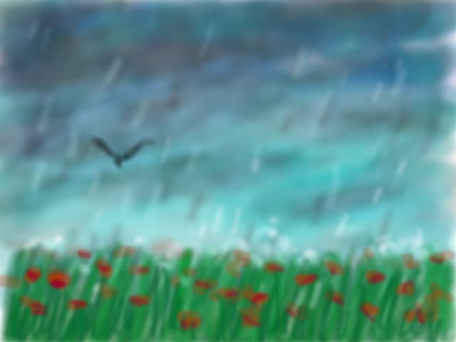 rainy day