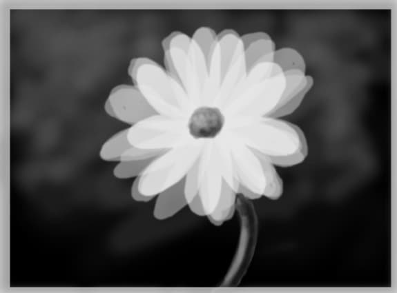 floare