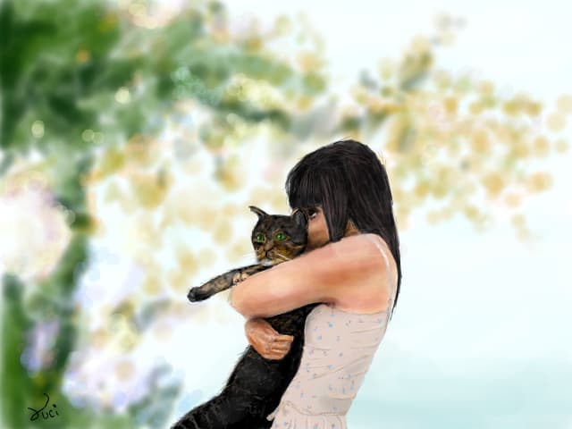 cele mai adorabile animale <3 -pisicile