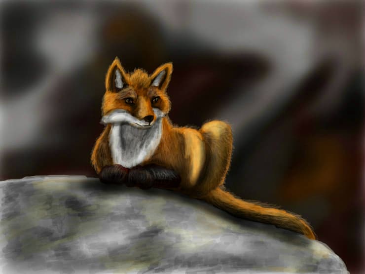 Foxy :3
