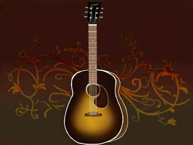 acoustic guitar