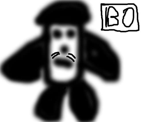 Bo