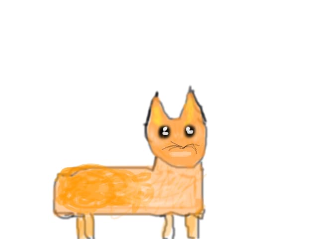Pisica