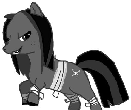 Pony