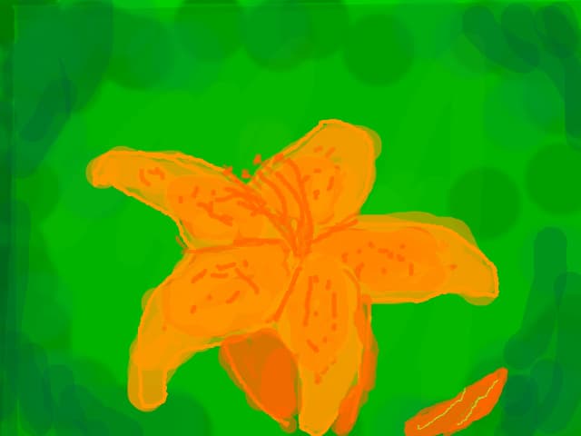 ORANGE LILY