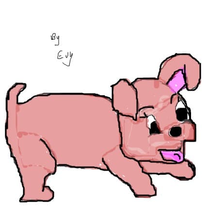 cutu dragut