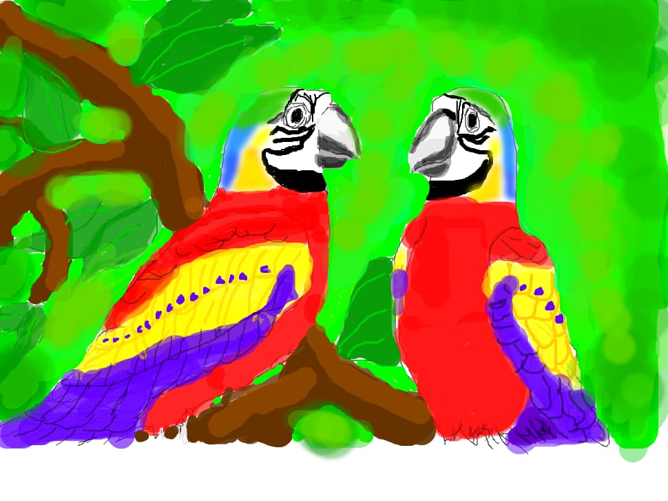 PARROTS
