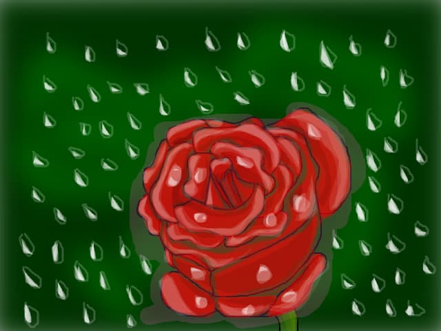 rain rose(mare se vede bn)