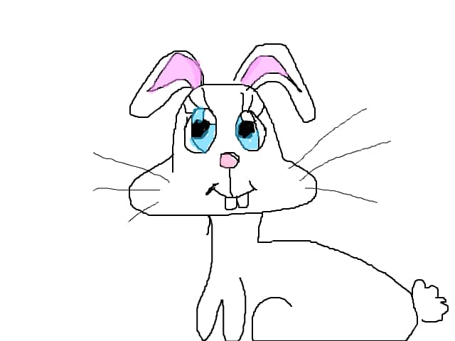 funne bunny