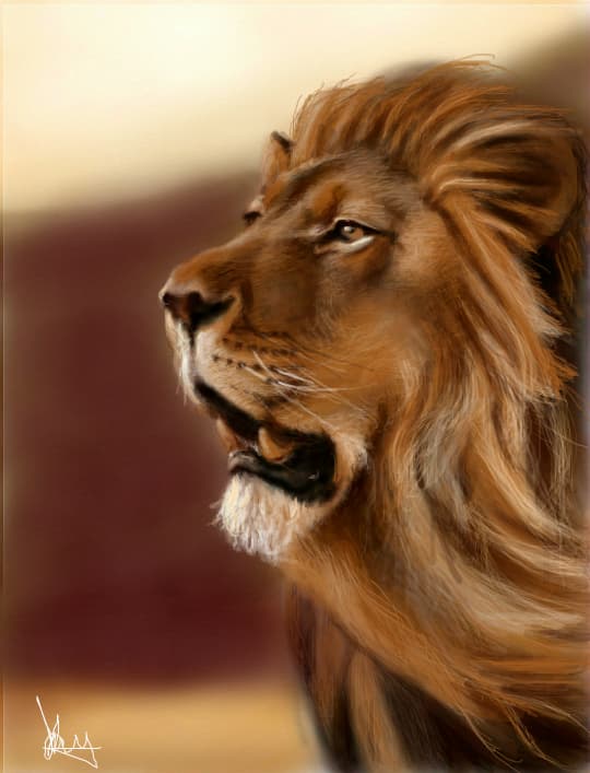 lion