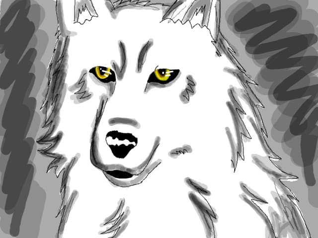 Wolf