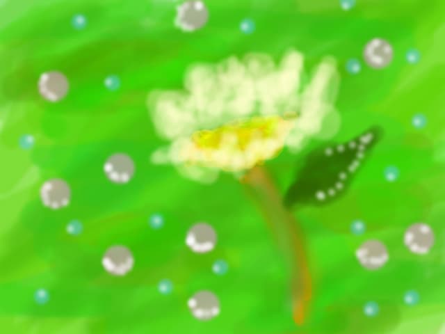 Floricica
