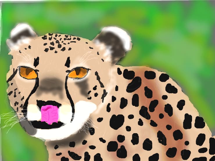GHEPARD