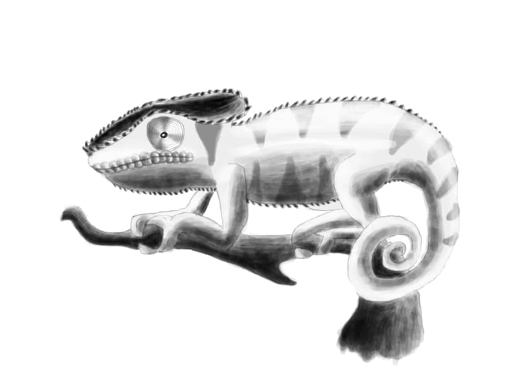 Cameleon pantera-alb-negru