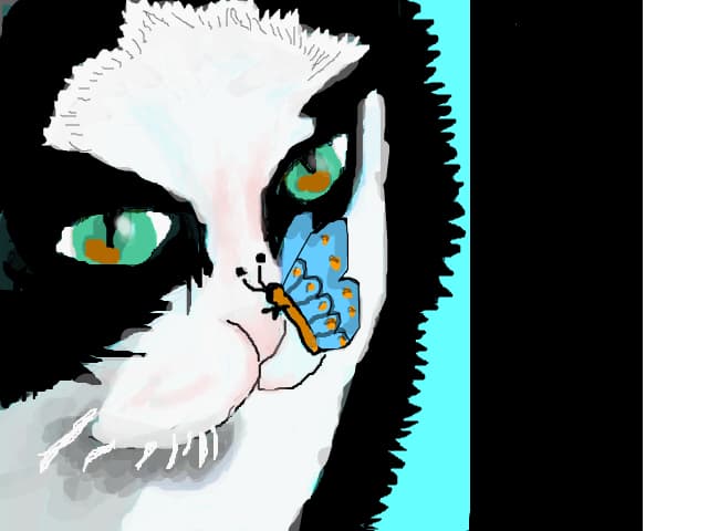 Pisi-Cat