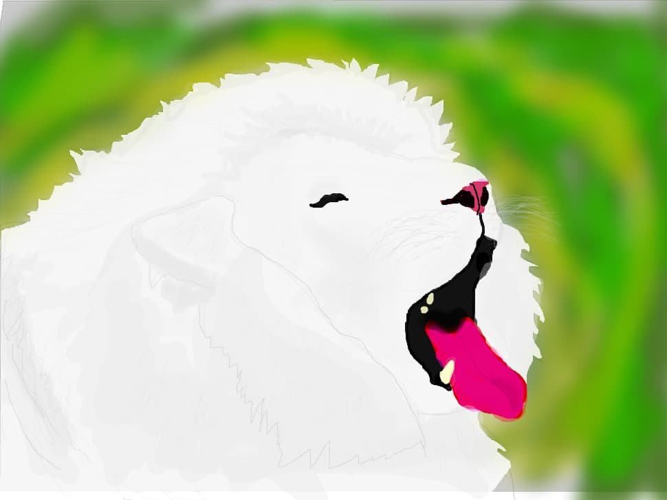 LION WHITE