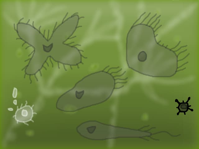 Microbe Kombat