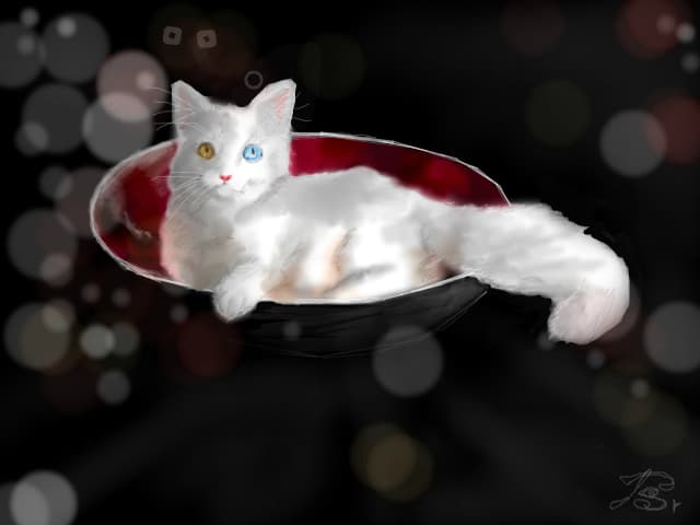 White kitty