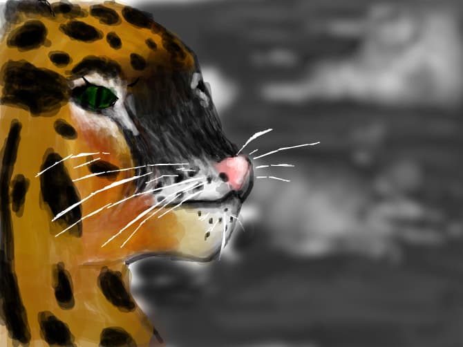 tiger