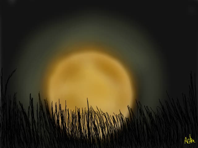 I want to go to the dark\"