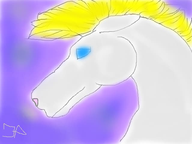 Horse