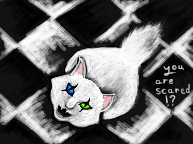 CAt mimi