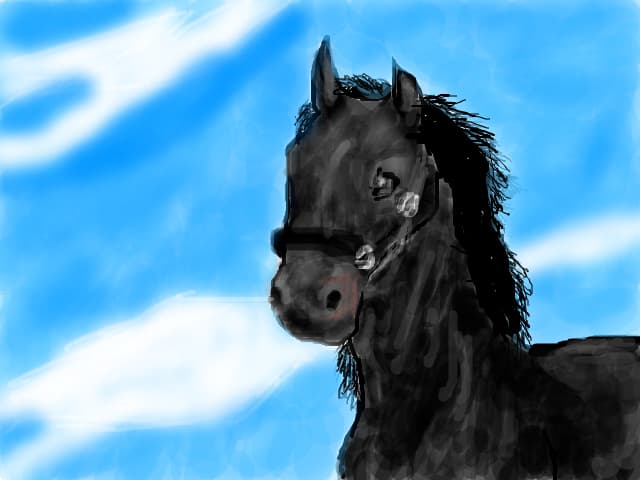 Black Horse