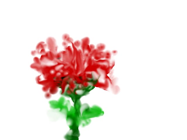 tradafir