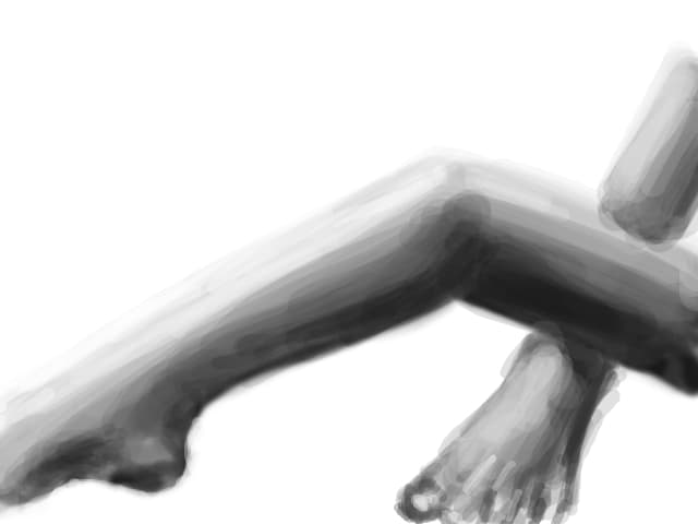 legs