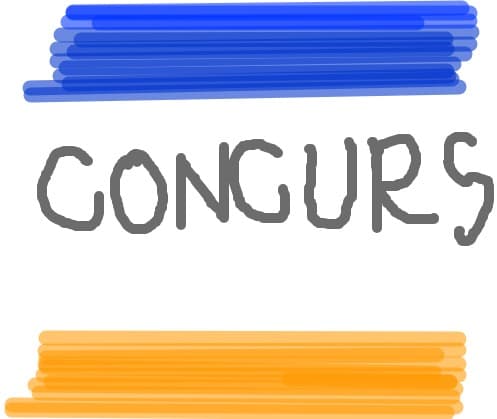 Concurs
