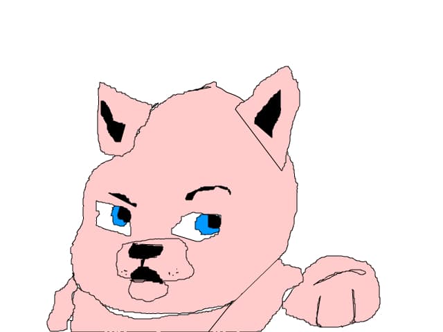 catel-pisica