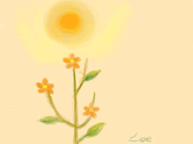 Lee