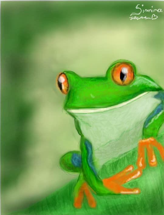 My little frog