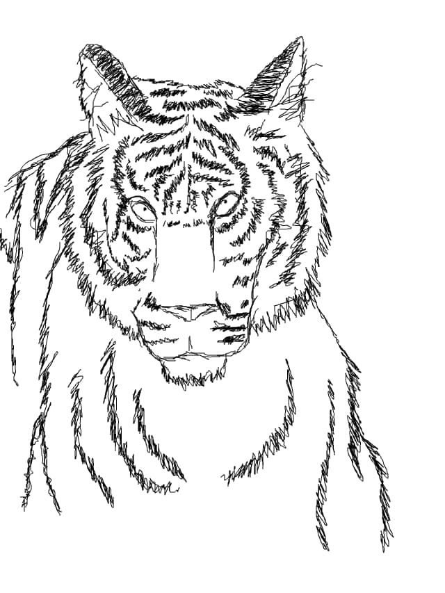 Tiger...