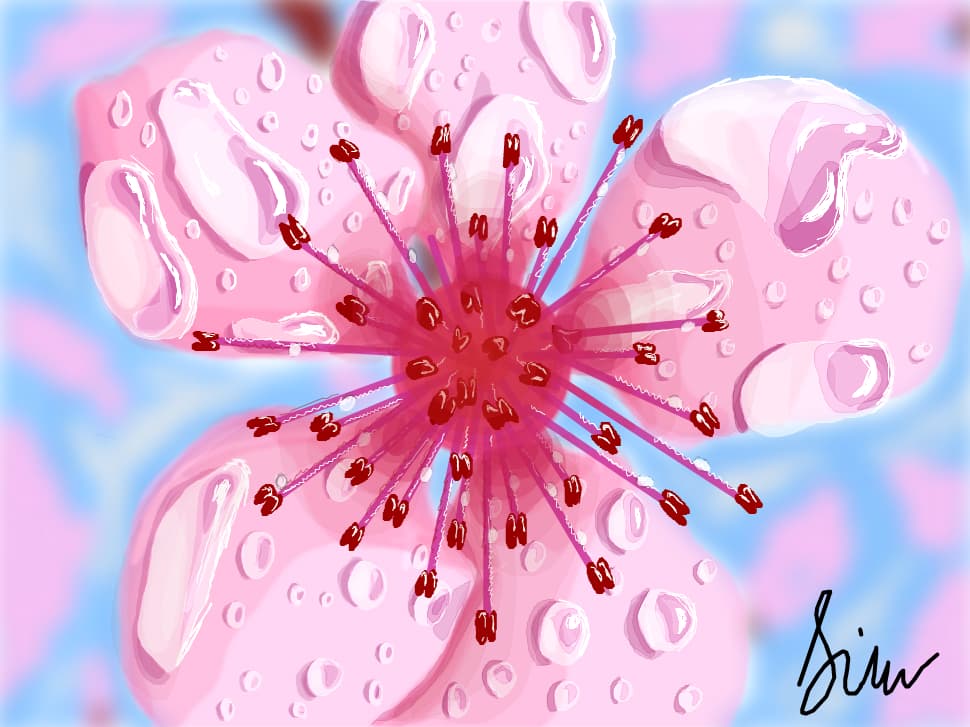 in bloom